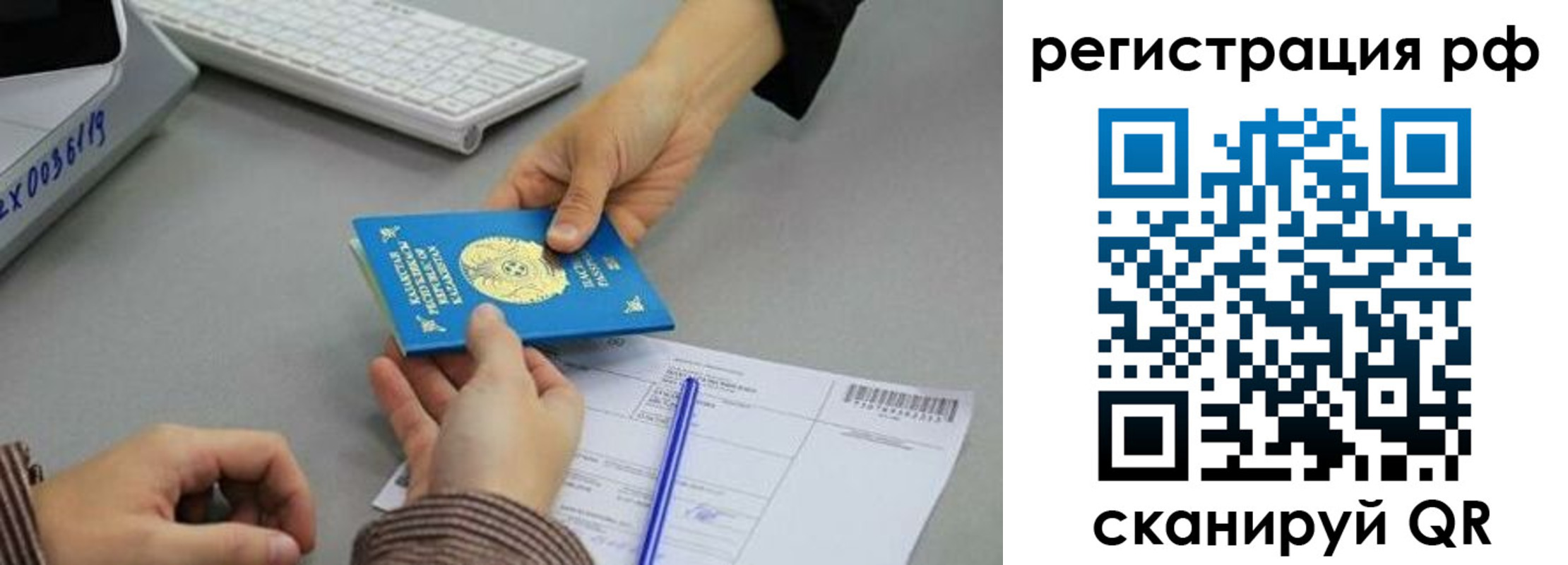 купить прописку в Светлогорске